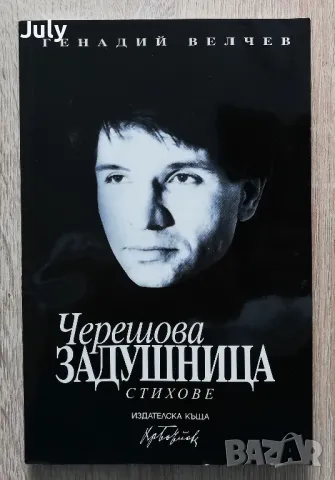 Черешова задушница, Генадий Велчев, снимка 1 - Българска литература - 49181378