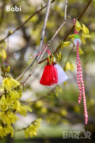 Canon EOS 500D Rebel T1i + 2 обектива + 32GB карта + аксесоари, снимка 16 - Фотоапарати - 53864707