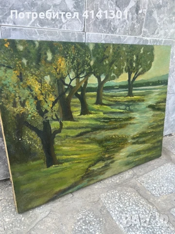 Продавам картини , снимка 5 - Картини - 50754869