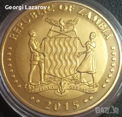 10000 квача Замбия 2015 Лъв, снимка 2 - Нумизматика и бонистика - 49943890