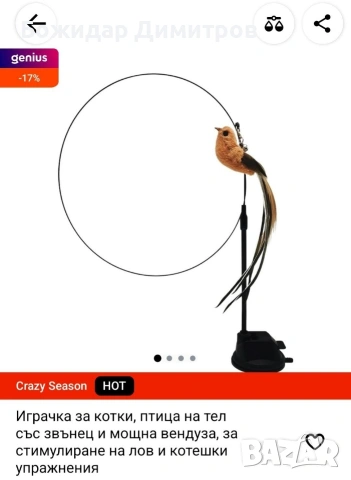 аксесоари за коте 