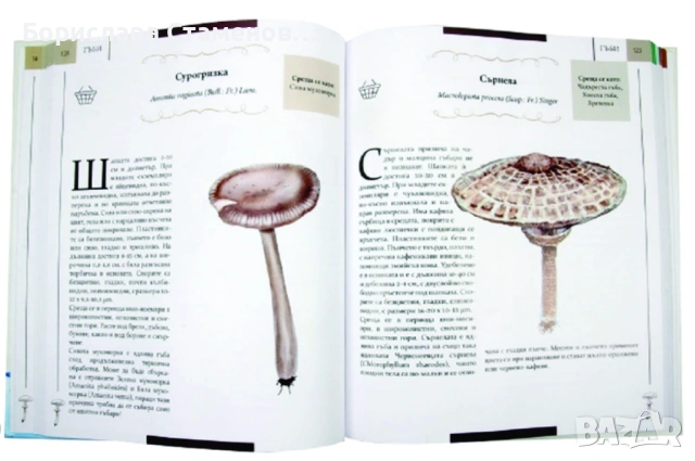 „Алманах - Природните богатства на България“ , снимка 3 - Енциклопедии, справочници - 53035581