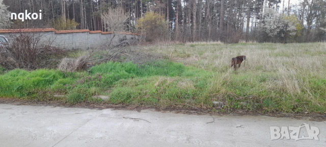 Продавам парцел в с.Великденче общ. Омуртаг, снимка 3 - Парцели - 54089453