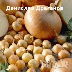 Холандски арпаджик