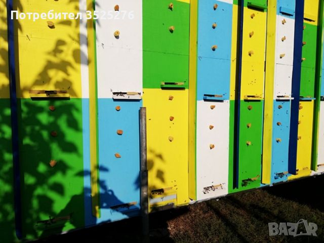 Павилион за пчелни семейства , снимка 7 - За пчели - 45775910