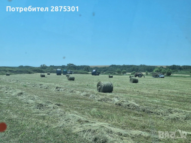 Бали Сено, снимка 3 - За селскостопански - 53941423