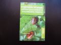 Колорадски бръмбар, неприятели и болести в зеленчуковата градина Мария Янакиева