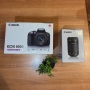 Canon EOS 800D + Canon EF-S 18-55 IS STM + Canon EF-S 55-250 f/4-5.6 IS STM + Чанта Canon, снимка 2