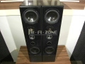 Тонколони  Magnat vector 6 /1 , снимка 3