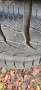 225 65 17, Nexen Winguard sport 2 SUV, зимни гуми, снимка 3