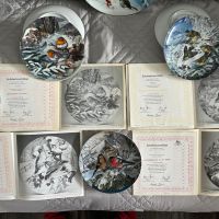 Голяма, красива и пъстра колекция чинии с горски птици  за окачване, снимка 5 - Чинии - 45357033