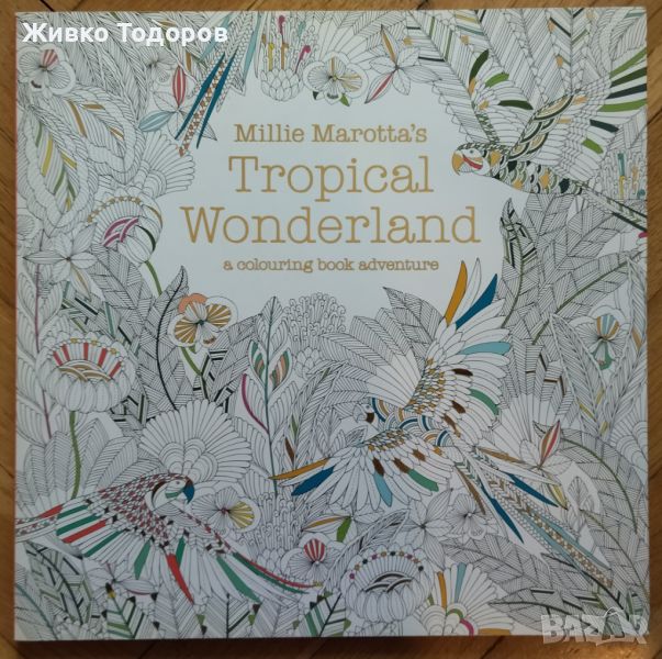 Книга за Оцветяване за възрастни Millie Marotta's Tropical Wonderland, снимка 1