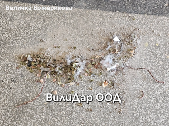 Почистване на входове , снимка 4 - Почистване на входове - 53663804