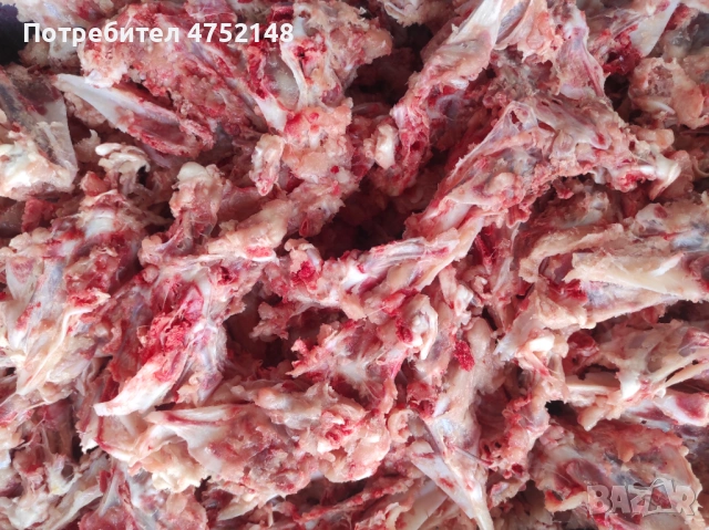 Сурова храна за кучета и котки, снимка 4 - За кучета - 53704827