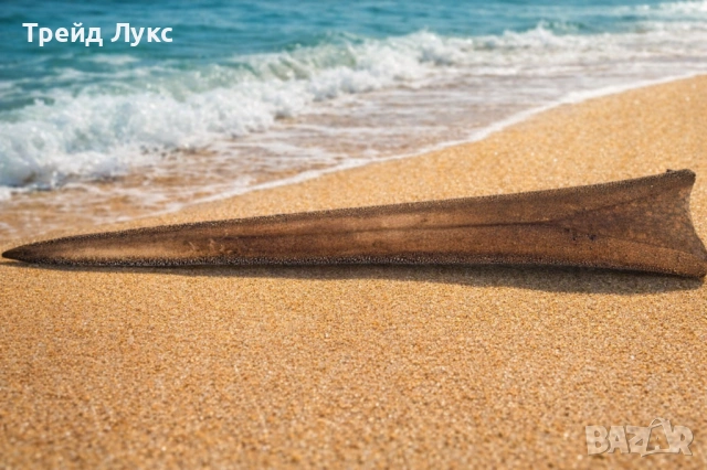 Уникален Подарък от Атлантическият океан, снимка 3 - Колекции - 53079885