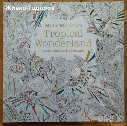 Книги за Оцветяване за възрастни Fabulous Flowers /Flora Botanika, снимка 15 - Други - 45523807