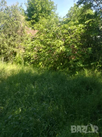 Продавам селска къща , снимка 17 - Къщи - 50744260