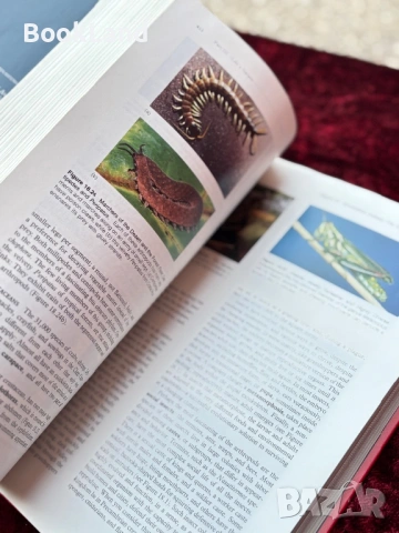 The nature of life, снимка 13 - Художествена литература - 53948126