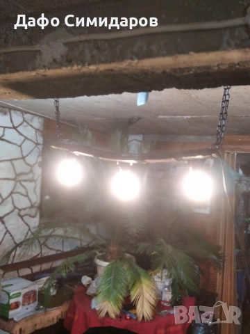 колело от каруца полилей , снимка 13 - Други - 47855135