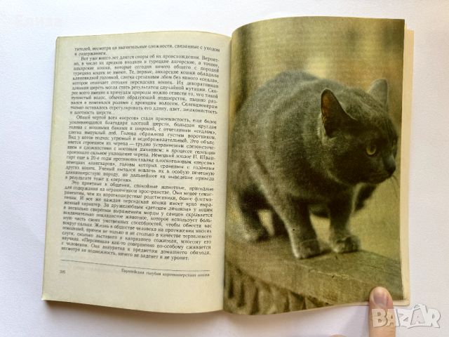 Кошка в вашем доме - Николай Непомнащий, снимка 8 - Енциклопедии, справочници - 45771027