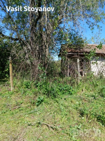 Косене на трева.Почистване на дворни места от храсти , дървета , снимка 8 - Други услуги - 50491395