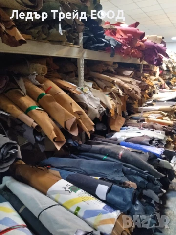 Естествена кожа, снимка 1