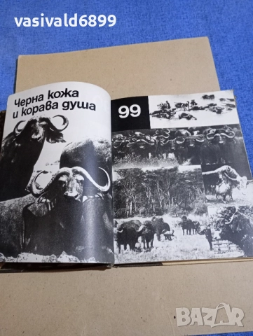 Димо Божков - Великани на континентите , снимка 8 - Българска литература - 52384688