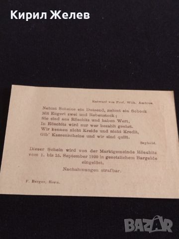 Банкнота НОТГЕЛД 20 хелер 1920г. Австрия перфектно състояние за КОЛЕКЦИОНЕРИ 44658, снимка 5 - Нумизматика и бонистика - 45234200