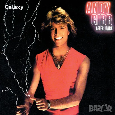 Andy Gibb – After Dark  1980 Vinyl, LP, снимка 1 - Грамофонни плочи - 48595950