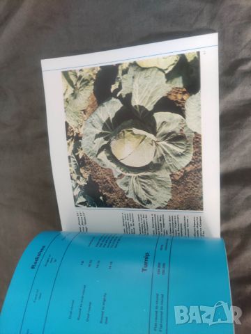Брошура Зеленчукови култури " Семена и посадъчен материал", снимка 4 - Други - 45905939