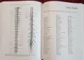 Голяма, двутомна енциклопедия на невронауките / Encyclopedia of Neuroscience Volume 1 and 2, снимка 8