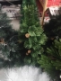 елхи , снимка 10