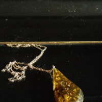 Колие от висококачествен кехлибар с мушици и разстения, снимка 5 - Колиета, медальони, синджири - 44950334