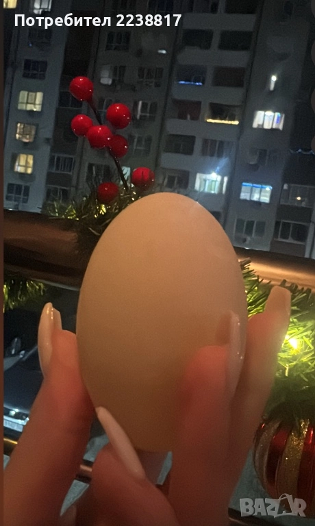 Домашни Прясни Патешки Яйца , снимка 1