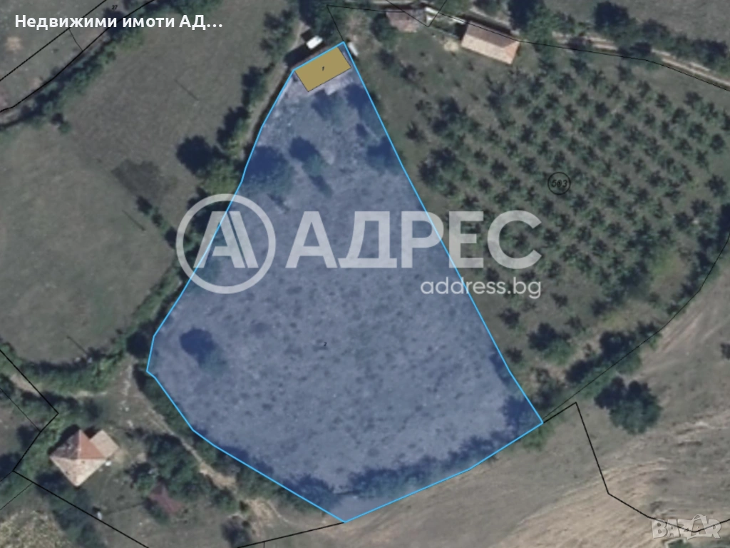 Поземлен имот с едноетажна сграда в село Станец, снимка 1