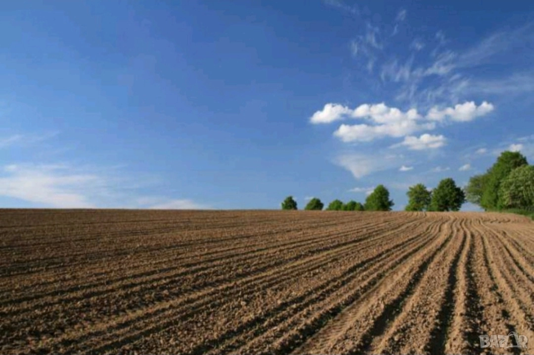 Земеделски ниви идеални части, снимка 1