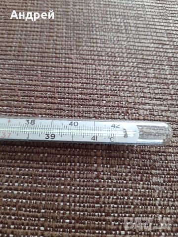 Стар живачен термометър #17, снимка 4 - Други ценни предмети - 46102919