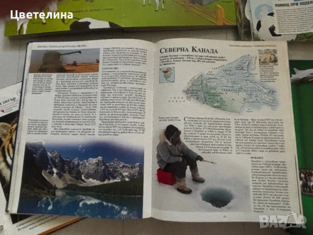 5 различни енциклопедии , снимка 7 - Енциклопедии, справочници - 50780920