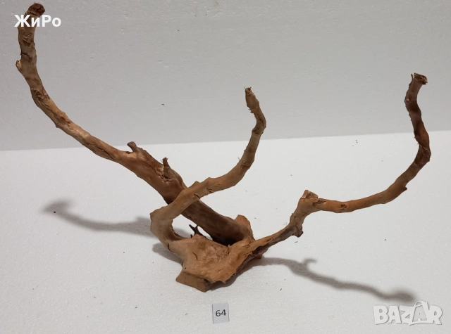 Корен от Азалия /декорация/ 64, снимка 4 - Други - 54102430