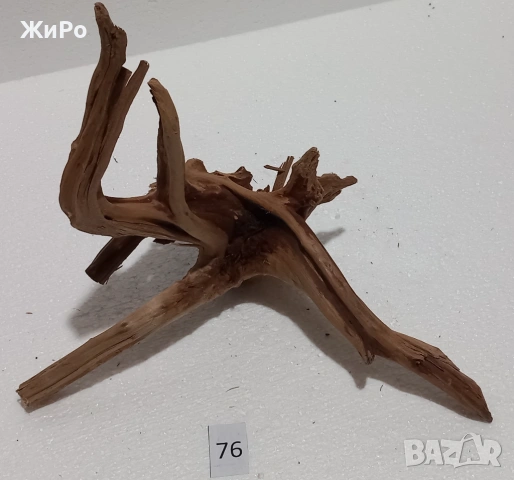 Корен от Азалия /декорация/ 76, снимка 2 - Други - 54102598