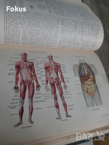 Малая советская енциклопедия - 5 тома, снимка 4 - Антикварни и старинни предмети - 53429654