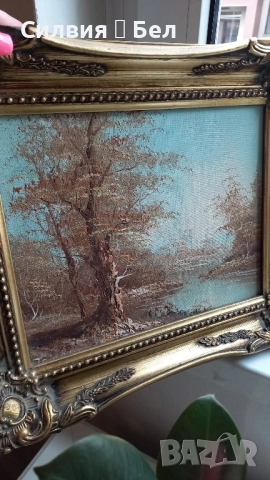 Картина , снимка 5 - Картини - 51871796