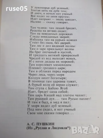 Книга "Малък Иван-разум голям - Николай Тодоров" - 184 стр., снимка 3 - Детски книжки - 48898896