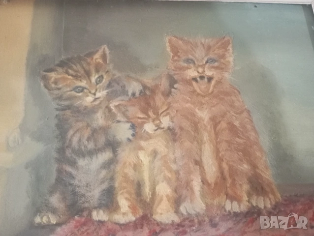 Картина- котета, снимка 2 - Картини - 54075931