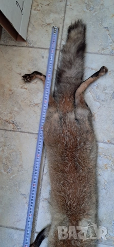 Кожа шал от лисица , снимка 2 - Антикварни и старинни предмети - 52920531