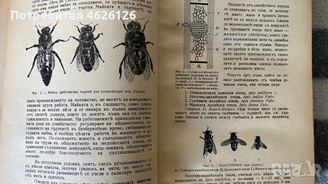 Пчеларство и болести по пчелите, снимка 3 - Специализирана литература - 53217328