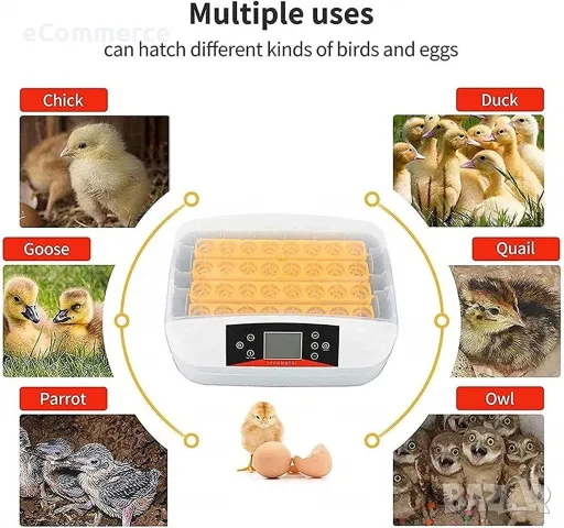 Инкубатор за яйца – 42 яйца с LED дисплей и автоматичен контрол, снимка 5 - За селскостопански - 48938352