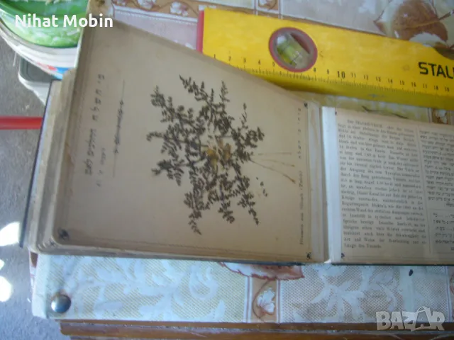 Стара книга за растения, снимка 7 - Антикварни и старинни предмети - 50329309