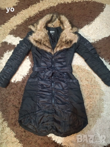 Страхотно яке Братан 