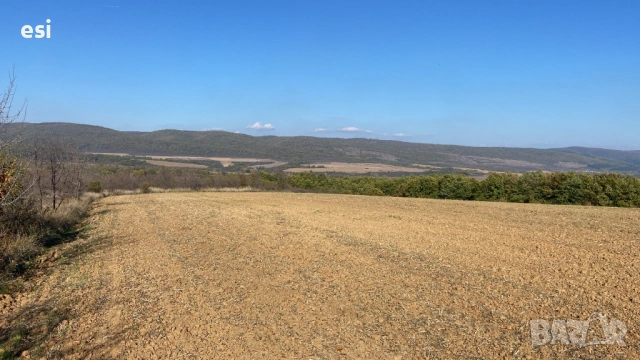 Евтина земя до Провадия - Дългопол, обл. Варна, снимка 8 - Земеделска земя - 53720204